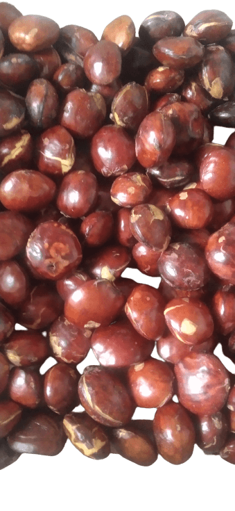 IMG-PRODUCT