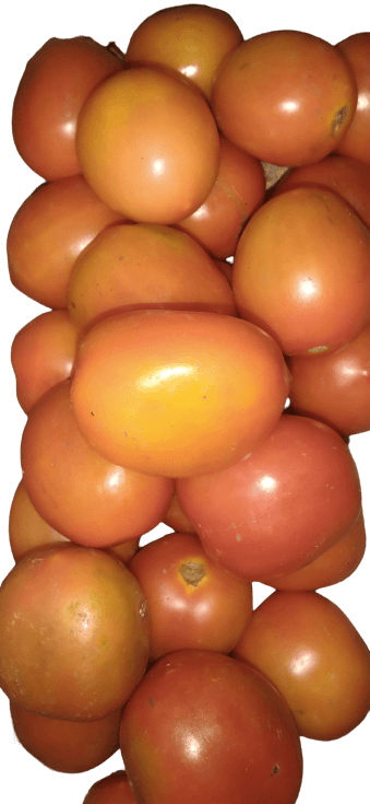 IMG-PRODUCT