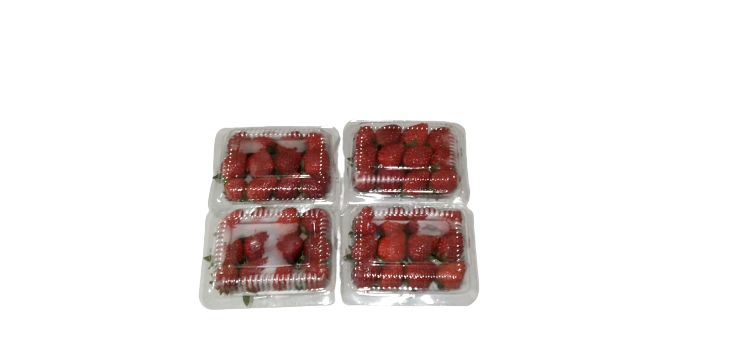 IMG-PRODUCT